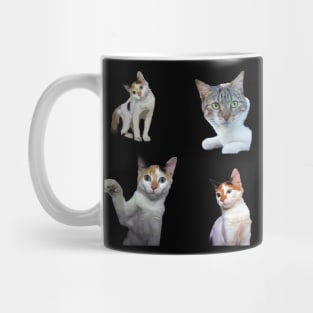 cat kitty sticker Mug